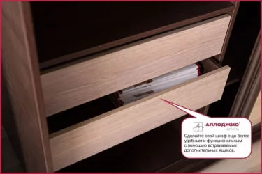 Шкаф-купе эконом Хит-23-14-11 Ясень шимо темный