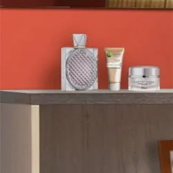 Прихожая Визит-14 (вар. №2)