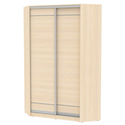 Шкаф-купе YA-230х1250-1(ДМ-D1D1)