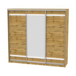 Шкаф-купе B-230х235х60-1(ДВ-D9D10D9)