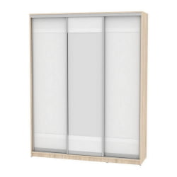 Шкаф-купе B-220х180х60-2(ДСС-Белый-D9D10D9)