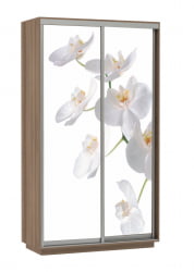 Шкаф-купе двухдверный Экспресс Хит Орхидея белая/Ясень шимо темный