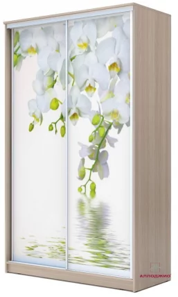 Шкаф-купе Хит-24-12-77 Орхидея Ясень шимо светлый_0