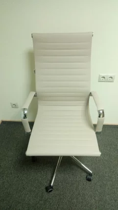 Кресло руководителя Everprof Rio М экокожа Бежевый_5