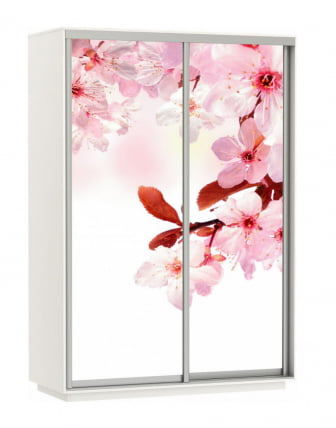 Шкаф-купе двухдверный Экспресс Дуо 1400х2200h Сакура/Белый снег_0