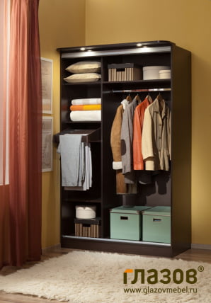 Шкаф-купе 3 Simple Композиция Венге_1