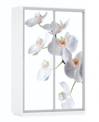 Шкаф-купе двухдверный Экспресс Дуо 1400х2200h Белая орхидея/Белый снег_0