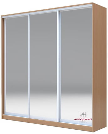 Шкаф-купе Хит-23-20-555 Бук бавария светлый_0