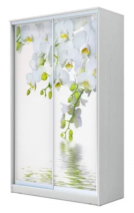 Шкаф-купе Хит-24-12-77 Орхидея Белая шагрень_0