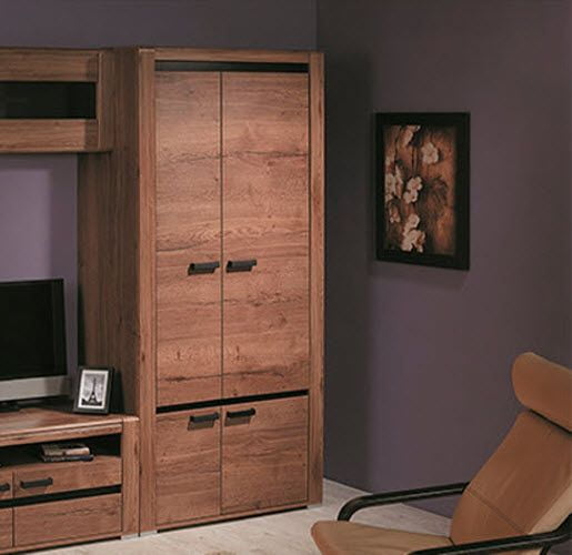 Шкаф для одежды Б1_1