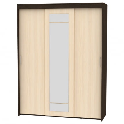 Шкаф-купе T-3-230х175х60-M(Венге-ДМ-11)_0