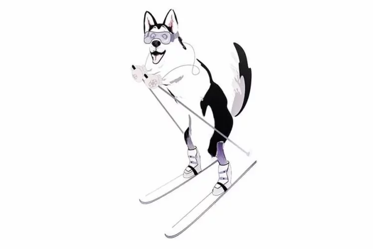 Шкаф-купе Хаски 23 Дуб Ирландский Белый_4