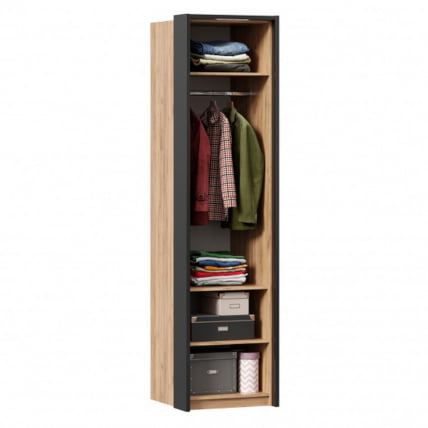 Шкаф одностворчатый с комбинированной дверью и паспарту Техно 02 Дуб Золотой Черный_1