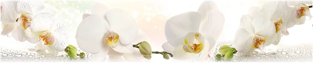 Глянцевый фартук (КОМПОЗИТ) KM 155_0