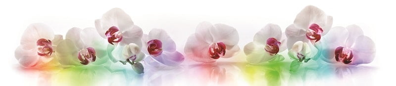 Глянцевый фартук (КОМПОЗИТ) KM 229_0