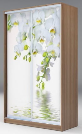 Шкаф-купе Хит-23-12-77 Орхидея Ясень шимо темный_0