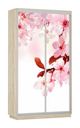 Шкаф-купе двухдверный Экспресс Хит Сакура/Дуб сонома_0