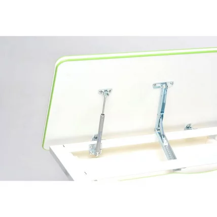 Парта растущая RIFFORMA Comfort-80 Белый Зеленый_5