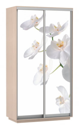 Шкаф-купе двухдверный Экспресс Дуо 1200х2200h Орхидея белая/Дуб молочный_0