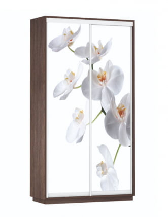 Шкаф-купе двухдверный Экспресс Дуо 1200х2200h Орхидея белая/Венге_0