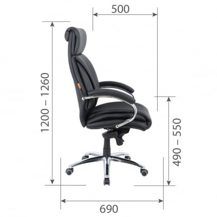 Кресло для руководителя CHAIRMAN CH423 кожа Черный_5
