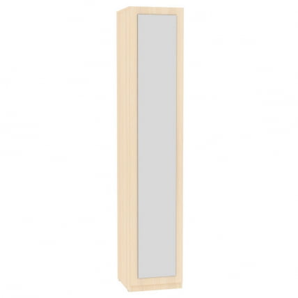 Шкаф распашный R-230х45х60-1-PO-M(ДМ)_0