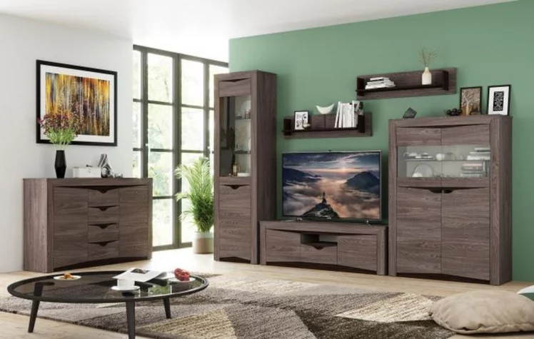 Шкаф комбинированный Лючия 33.15 Ясень анкор темный Венге_2