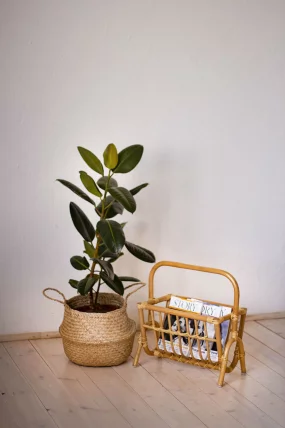 Газетница 17/13 олива_1