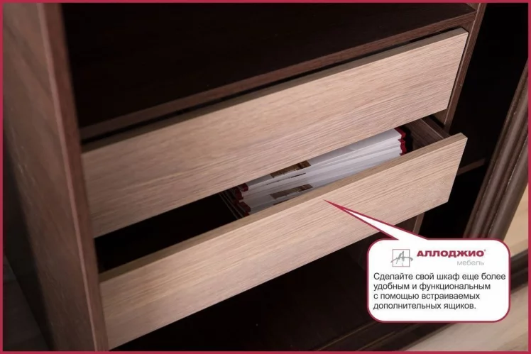 Шкаф-купе Хит-24-14-11 Ясень шимо темный_4