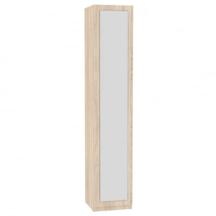 Шкаф распашный R-230х45х60-1-PO-M(ДСС)_0