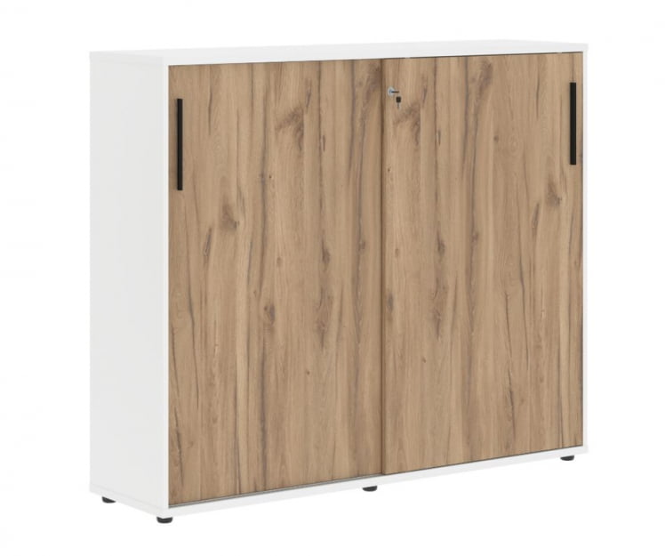 Шкаф с дверьми-купе ЕДИС ЕМC 1643 Дуб Денвер светлый Черный Белый / EDIS EMC_0