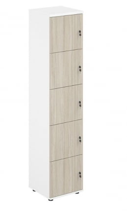 Локер 5 ячеек СигмаСГ.818.ВХ.ОЛ Белый Дуб светлый / SigmaSG.818.WH.OL_0