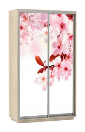 Шкаф-купе двухдверный Экспресс Дуо 1200х2200h Сакура/Ясень шимо светлый_0