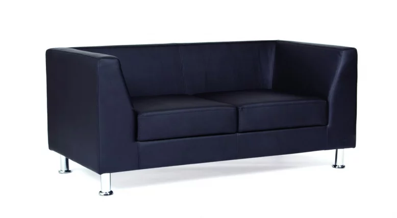 Диван двухместный ( Дерби) Terra 106_1