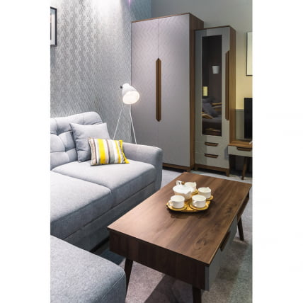 Шкаф двухстворчатый Сканди (ДС) Грей_3