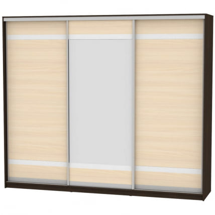 Шкаф-купе B-220х270х60-2(Венге-ДМ-D9D10D9)_0