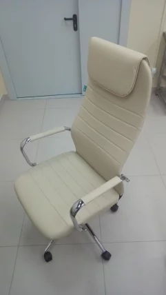 Кресло руководителя Бюрократ KB-9N/ECO/OR-12_7